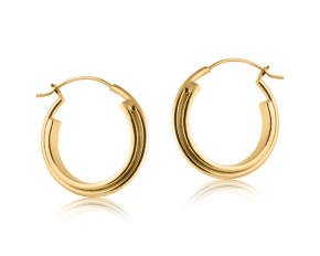 Irina Plated Brass Circular Hoop Earrings